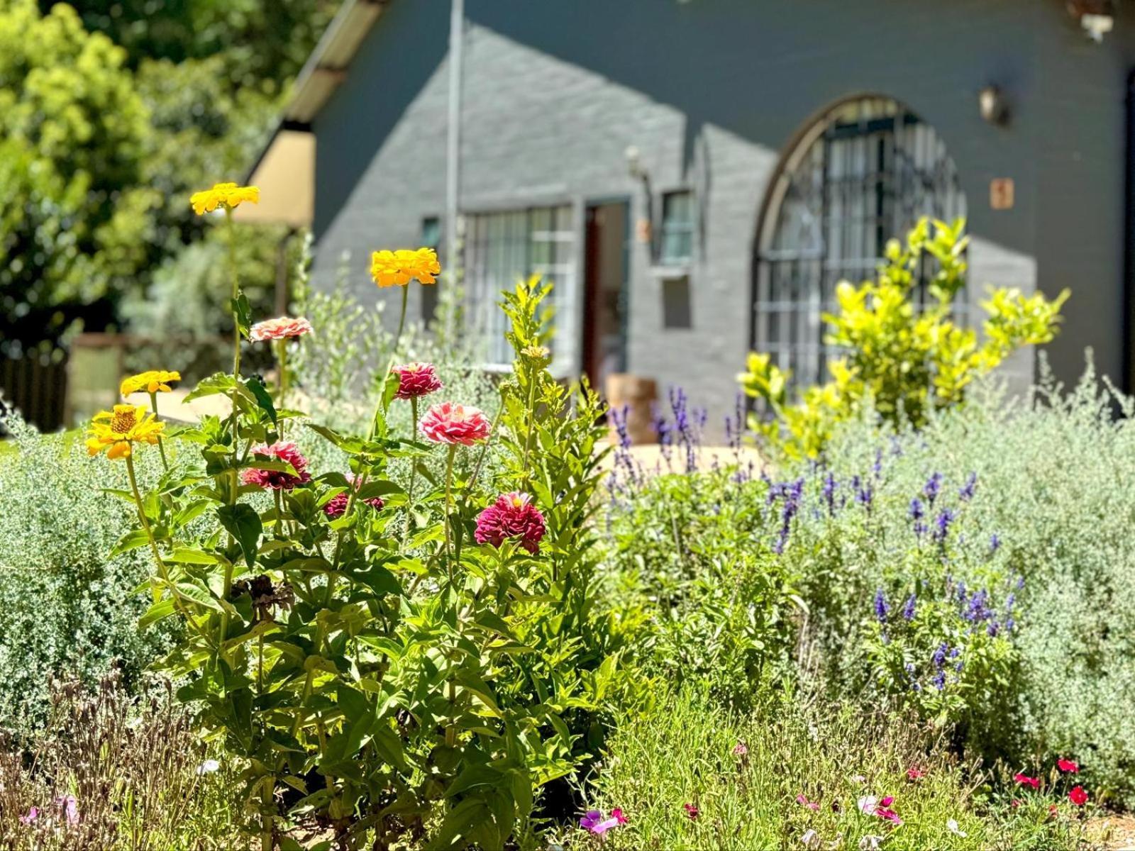 Fiddler'S Green Magoebaskloof Bagian luar foto